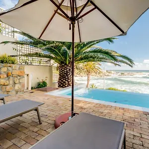 Camps Bay Terrace Palm Cape Town